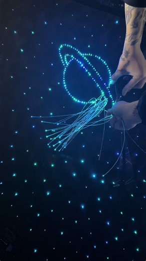 Starlight Headliner Installation Guide