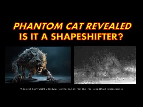 Phantom Cat Revealed: is it a Shapeshifter?