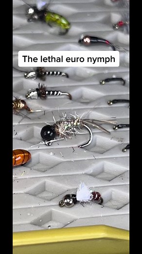 I do this upstream. I turn over a bunch of rocks. Release the stoneflies so they drift through the water channel. Then i head back downstream and nymph. Call it chumming if you will. #flyfishing #flyfish #flyfishingnation #flyfishinglife #flyfishingtrout #flyfishingtiktok #flyfishingaddict #flyfishingbum #flyfishingcheck #flyfishfood #flyfishadventures #flyfishdelawhere #fishing #fishinglife #fishingrod #aventuronusa #lidrig #howtoflyfish #howtofish