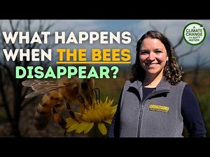 Save the Bees Save Our Food with Kelly Bills