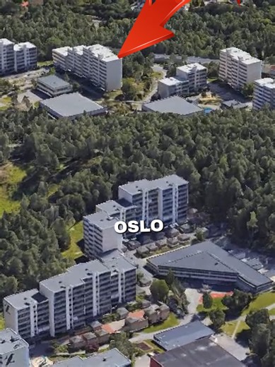 Romsås: The Forest Neighborhood of Oslo 👀 #oslo #norwegian #norway #norsk #fyp