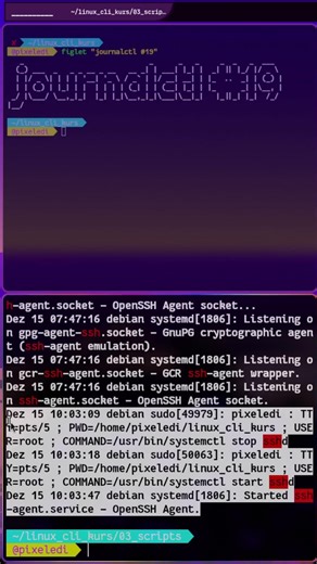 journalctl - Linux CLI daily
