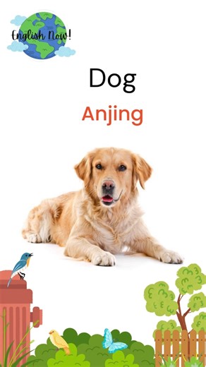 Belajar Nama-Nama Hewan PART 7 😊❤ #fyp #trending #videos #facebookpage #storytelling #storyenglish #English #EnglishhNow #Learnenglish #belajarbahasainggris #Longervideos #Practice #belajar #Speakingbahasainggris #Longervideos #Practice #Speaking #SpeakingConfidence | EnglishhNow