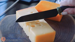 Lactose Intolerance Vs. a Milk Protein Allergy