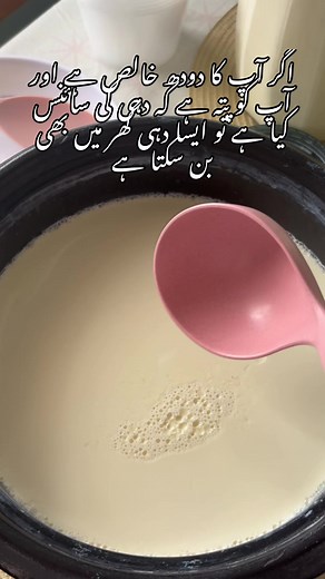 Homemade Yogurt Recipe: Pure Milk & Yogurt Science