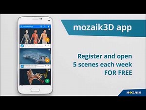 mozaik3D app