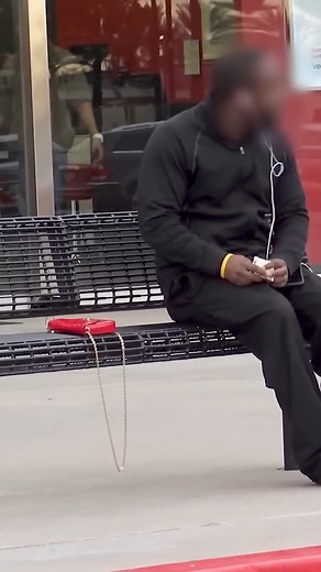 Would you Steal her purse? #Pranks #JoeySalads #ViralVideos | Joey Salads