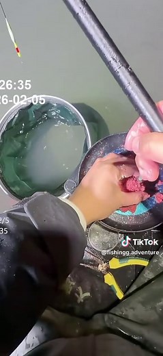 Adventure Fishing: Catching Fish with Hand Rods