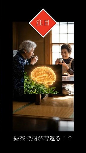 【脳の若返り】緑茶カテキンの衝撃効果！2026年へ向けたMust Know健康法