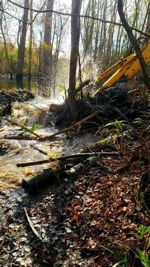 39K views · 358 reactions | Beaver Dam Removal With Backhoe! Danny's Dam! #beaverdamremoval #beaverdam #beaverdamcreek #damremoval #beavers #dam #drain #draining #water #unclogging #terrellspivey #fypシ゚ #foryoupageシ #foryou #viralreels #viralvideo #viralFBvideo #FBVIDEO #viralfbreels #reelsviralfb #fbreelsfypシ゚viral #fb #viralfb | Terrell Spivey | Facebook