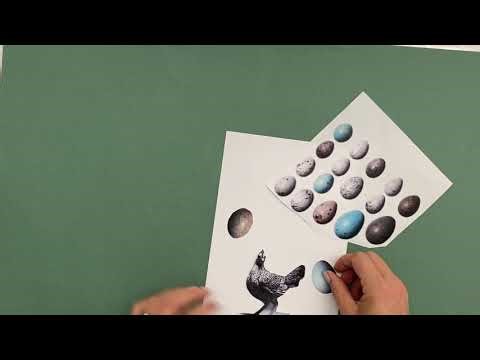 DEMO: collage for drawing