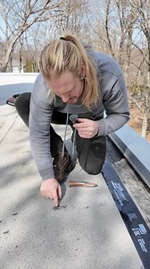 4.9K views · 56 reactions | Asphalt Roof Repair | All Roof USA | Facebook