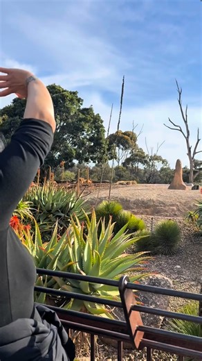 Sher ch te akad badi hai lol 😂 #fyp | Rose Bawa