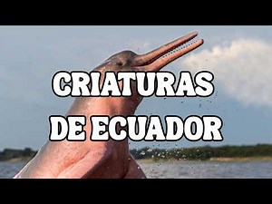 Incredible Animals of Ecuador That Look Out of This World