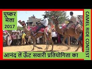 ऊँट सवारी प्रतियोगिता Camel Move : Camel Ride Competition In Pushkar , Rajasthan Tourism india
