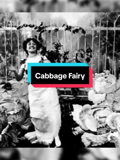 The Cabbage Fairy: Exploring Early Cinema and Its Origins