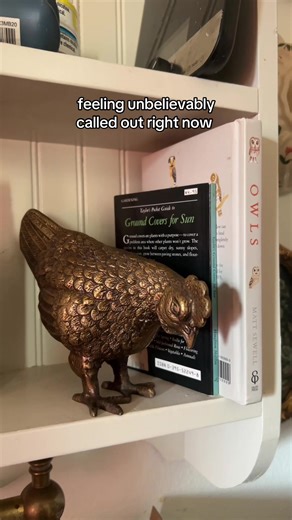 Unique Bird Decor Ideas for Your Home