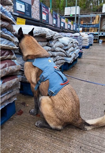 Supporting the future of detection training: Getxent sponsoring the Conservation Detection & Scentwork Seminar 2026 We are excited to announce that Getxent is a sponsor of the Conservation Detection & Scentwork Seminar 2026 and are sincerely grateful for their generous support. Getxent has kindly provided all seminar attendees with discount codes to use on their products, which is greatly appreciated. We genuinely value and use Getxent products in our training programs, particularly the blank Ge