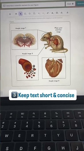 Tips for making a graphical abstract with illustrae.co #phd #scientist #researchpaper