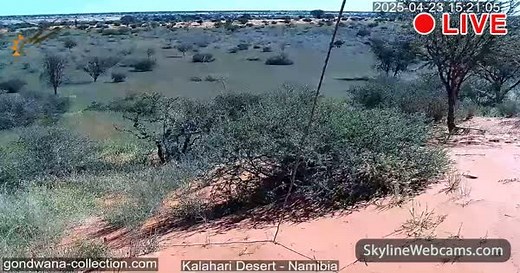 【LIVE】 Live Cam Kalahari Desert - Namibia | SkylineWebcams