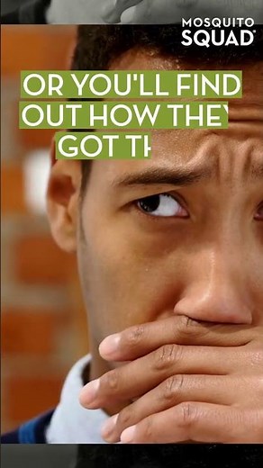 why do stink bugs come in your house?