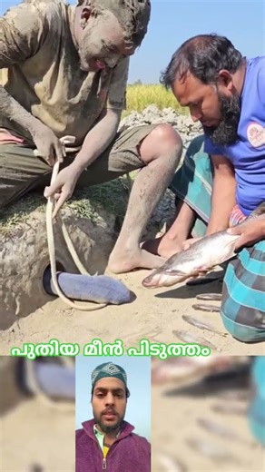 പുതിയ മീൻ പിടുത്തം #mallutraveler​​#fishingfreaks​​#shortsX​​#mallu​​#malayalam​​#m4techUnlock​​