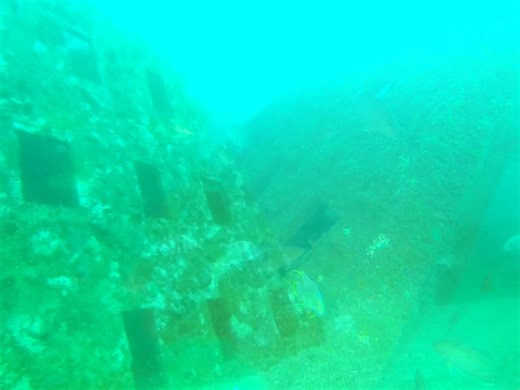 81K views · 630 reactions | Committed to Conservation Our Division...