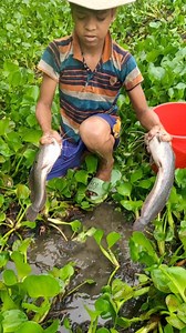 1.6K views | Primitive Hand Fish Catching. #fishing #viralvideoシ #viralfishing #catfish #handfishing #reelsfypシ #fypviralシ #viral #reels | River Fishing BD | Facebook