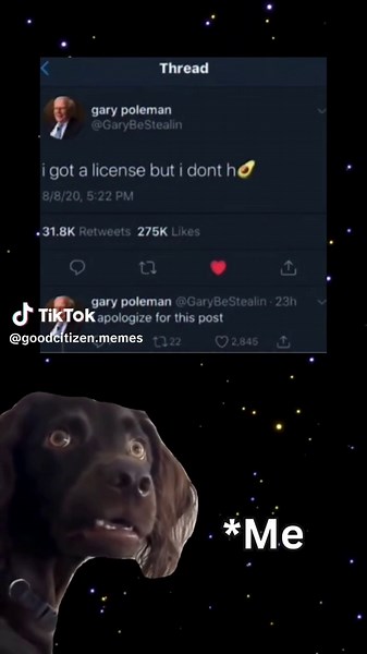 i got a license but i dont h🥑 #meme #funny | sponge bob license