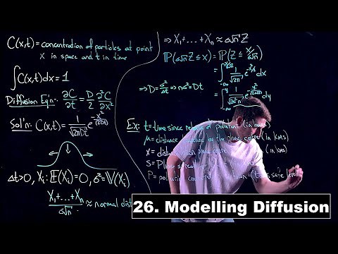 Modelling Diffusion - Math Modelling | Lecture 26