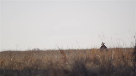We get asked a lot about what gear we trust in the field. For us, the Garmin Pro 550 Plus has been a simple, reliable tool that helps us stay connected to our dogs, helping to keep them safe while giving them the freedom to work. It’s not about gadgets, it’s the ability to give the dog clear communication so they can do their best work. And hint, hint…if you’re hunting for the perfect gift for that bird dog person in your life, this kind of box under the tree tends to ignite a big grin! #garminf