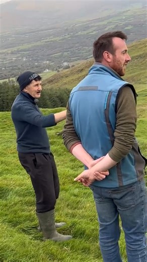 447 reactions · 11 comments | Man himself changes, full video on my YouTube #farm #farming #sheep #lambs #ireland #irish #uk #cows #tractors | sheep_shepherd__ | Facebook