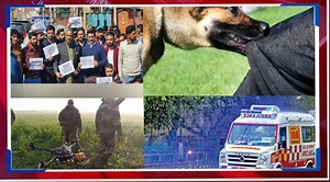 4.4K views · 235 reactions | Latest Top Headlines | Early Times | Facebook