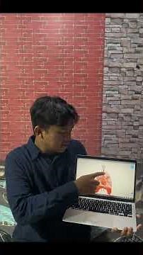 video penjelasan tentang sistem respirasi