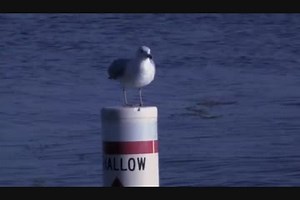 Used 2024 Tracker Pro Guide V-175 Combo, 60478 Country Club Hills - Boat Trader