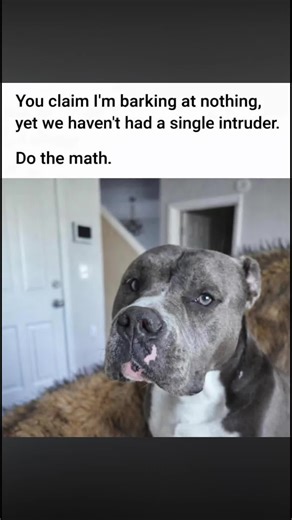 I BARK & YOU ARE AN ASSHOLE ....HOWS THAT ADDING UP 🤔🙏🏻❤️💯🐾