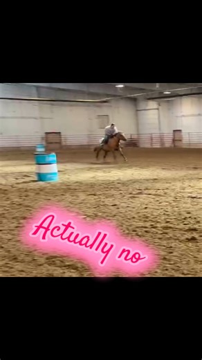 Actually cause it’s the best! #tillybean Tacktical Corriente Saddle Co. | Cheyenne Cullen