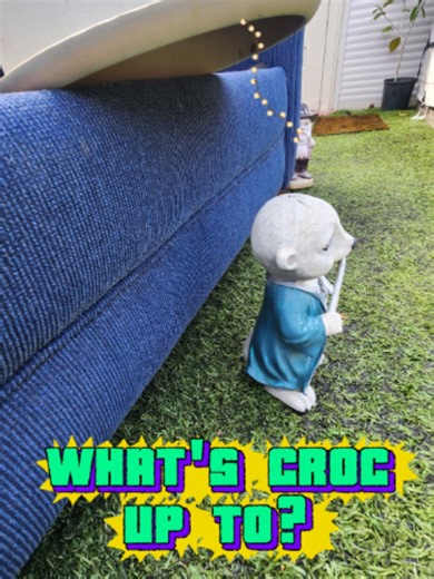 Who Killed Harry ? What's Croc Up 2? Was Croc Responsible Or Did Dave Do It? #murdermystery #gnomes #funny #comedy #whodunit #whokilledharry #fyp