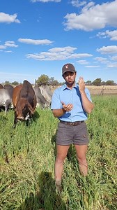 3K views · 1.2K reactions | #pickofthesale | Lourie praat bietjie oor...