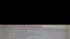 Cruestions Based on High Order Thinking Skills (HOTS)48. The o... | Filo