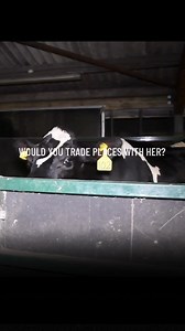 11 shares | Animals on factory farms suffer in silence. We go undercover to reveal the truth. For a limited time, your gift is being matched. Give before June 30 to help save more lives. | Animal Equality | Facebook