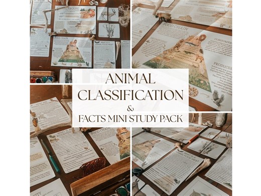 Animal Classification Study Pack | Homeschool Science Worksheets, Posters & Flashcards (PDF Printable) - Etsy
