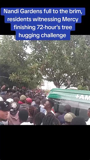 72-hour's tree hugging challenge