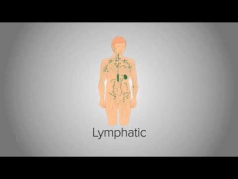 Organ System Overview