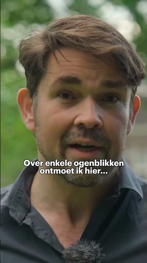 Studeren met klassieke muziek: ideaal volgens deze student | Kijk verder op ons kanaal #npoklassiek