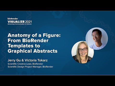 Anatomy of a Figure: From BioRender Templates to Graphical Abstracts