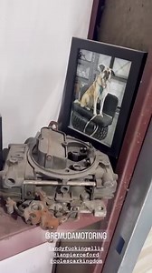 Jesse Metcalfe on Reels | Facebook