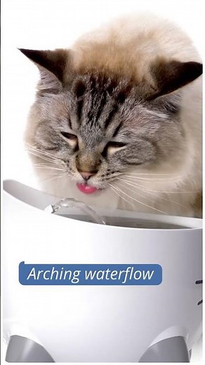 Stop Using Water Bowls! Try the Catit PIXI Fountain #catit #catcare #catitpixi