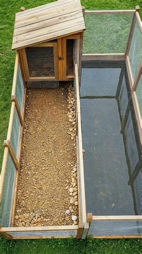 Modern Backyard Chicken Farm Layout