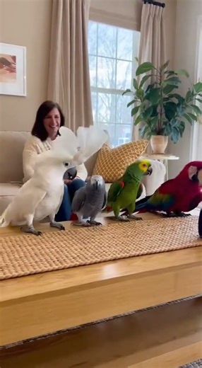 Line Dancing is the Best Dancing